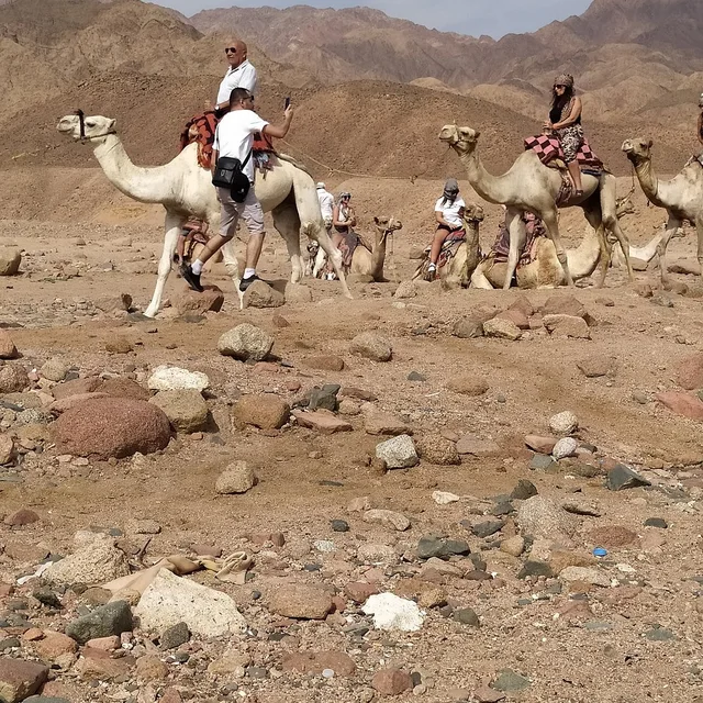 Coloured Canyon Jeep Safari from Taba — photo 19