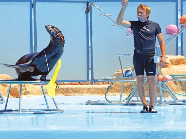 Dolphin World Makadi Show from Hurghada — photo 4
