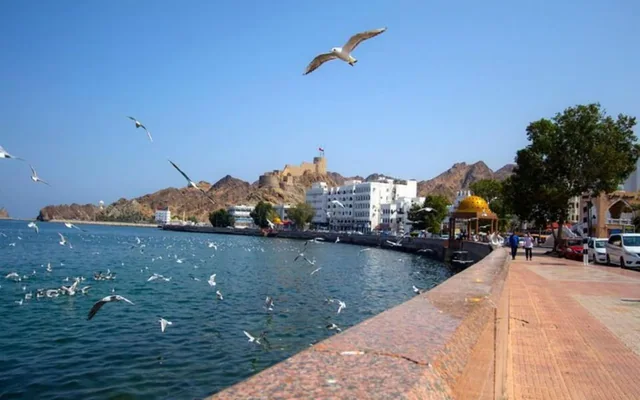 Birdwatching Tour with Mosque Visit — reference photograph