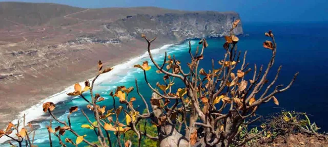 West Salalah tour landscape