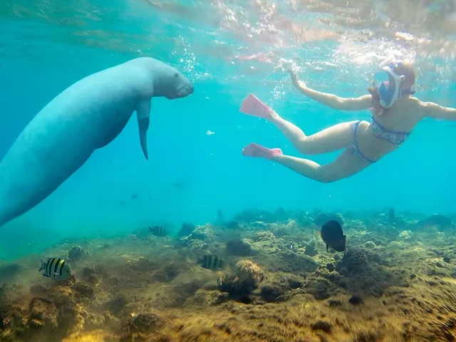 Hamata Islands Snorkeling Cruise from Marsa Alam — photo 9
