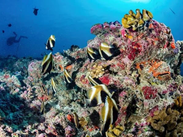 Hurghada Island-Hopping Yacht Tour & Dolphin Watching — photo 9