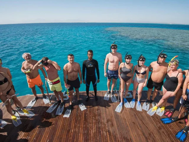 Marsa Mubarak Snorkeling: Dugongs & Turtles from Marsa Alam — photo 9