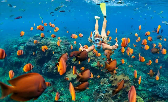 Sharm: Mangrove, Magic Lake, Earthquake Crack & Snorkelling by Bus — photo 25