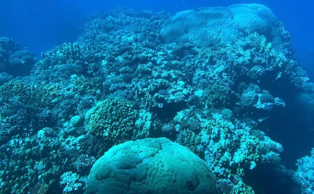 Glass-Bottom Boat Trip from Taba via Sharm El Sheikh — photo 6