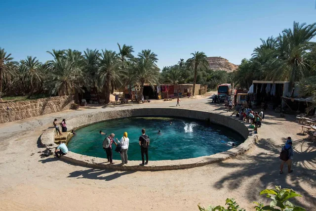 Private Siwa Oasis Full Day Tour — photo 20