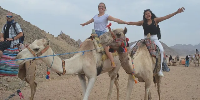 Marsa Alam Beach & Desert Horse Riding Tour — photo 6