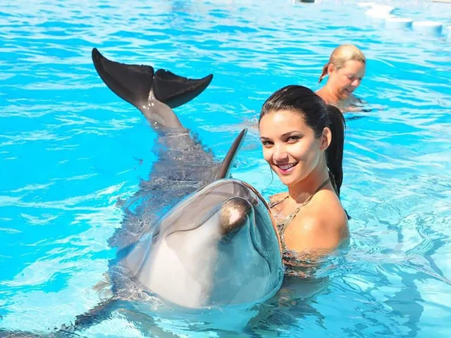 Dolphin World Makadi Show from Hurghada — photo 7