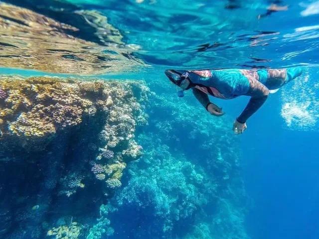 Sharm: Mangrove, Magic Lake, Earthquake Crack & Snorkelling by Bus — photo 29