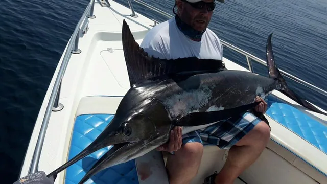 Salalah fishing tour photo 3