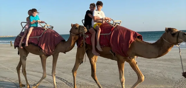 Camel riding on the beach photo 11
