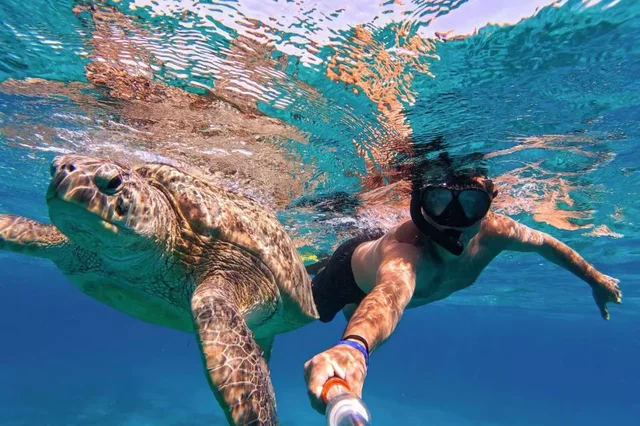 Marsa Alam Pirates Premium Cruise to Turtle Bay — photo 21