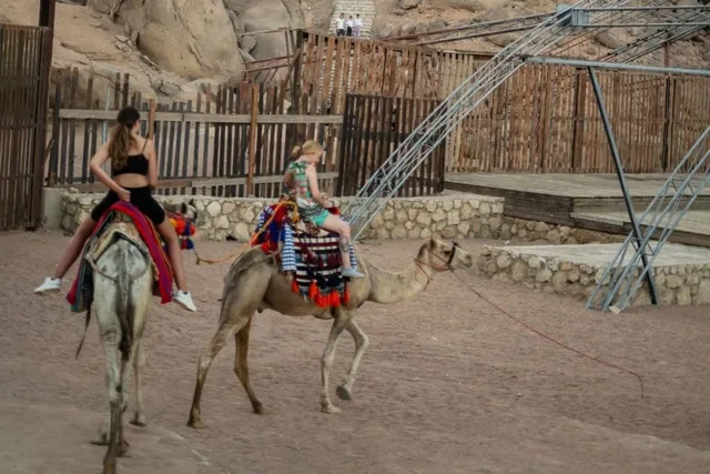 Sharm El Sheikh: Desert Arabian Night, Dinner & Show — photo 16