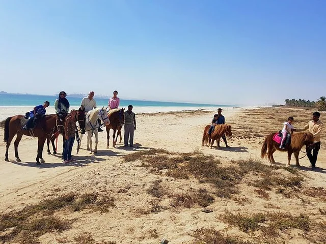 Group horse ride on the beach in Salalah