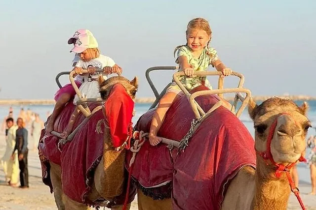 Camel riding group on the beach
