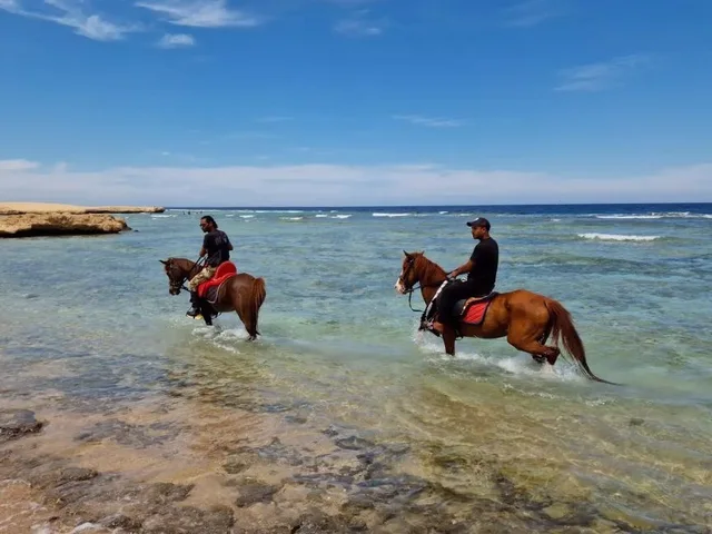 Marsa Alam Beach & Desert Horse Riding Tour — photo 9