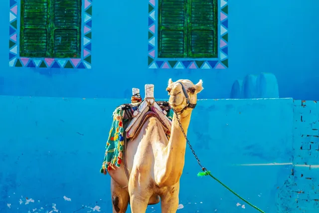 Nubian Village Motorboat Tour from Aswan — photo 5