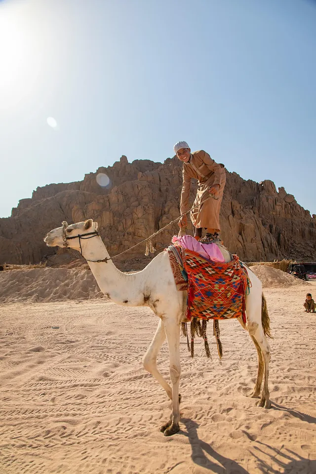 Sharm El Sheikh: Polaris Buggy & Camel Riding & Pick-up — photo 3