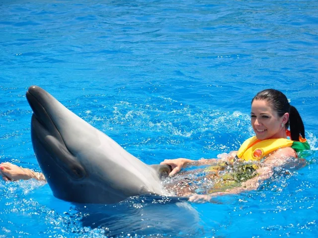 Dolphin Show in Sharm El Sheikh — photo 5