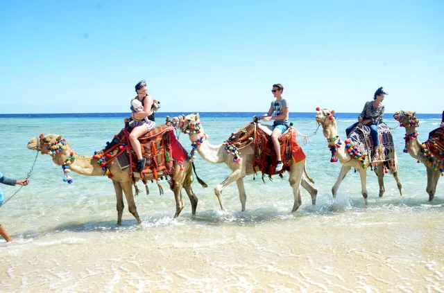 Hurghada Sunset Camel Ride on the Beach & Desert — photo 9