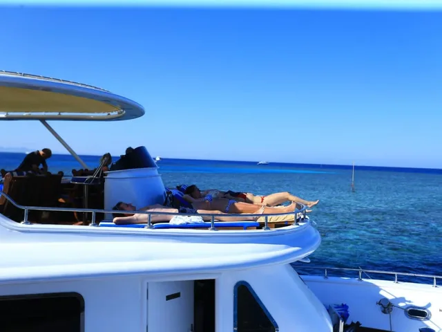 Marsa Mubarak Snorkeling: Dugongs & Turtles from Marsa Alam — photo 7