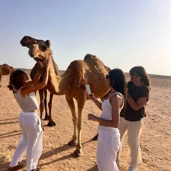 Desert 4WD adventure