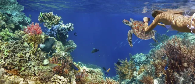 Marsa Alam Pirates Premium Cruise to Turtle Bay — photo 8