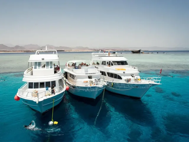 Sharm El-Sheikh: Tiran Island Cruise, Snorkelling with Lunch — photo 5