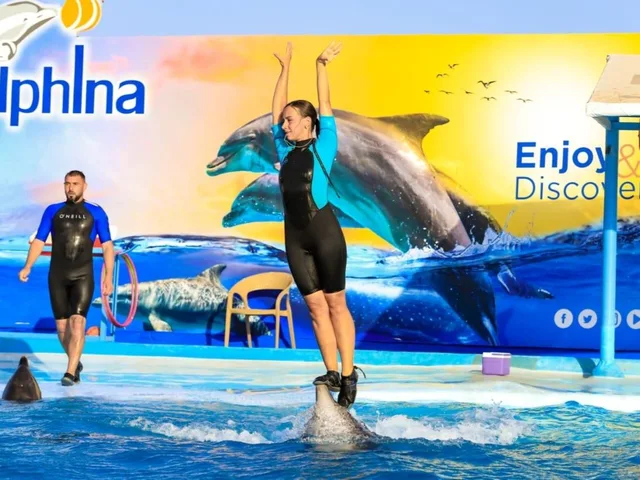 Dolphin Show in Sharm El Sheikh — photo 8