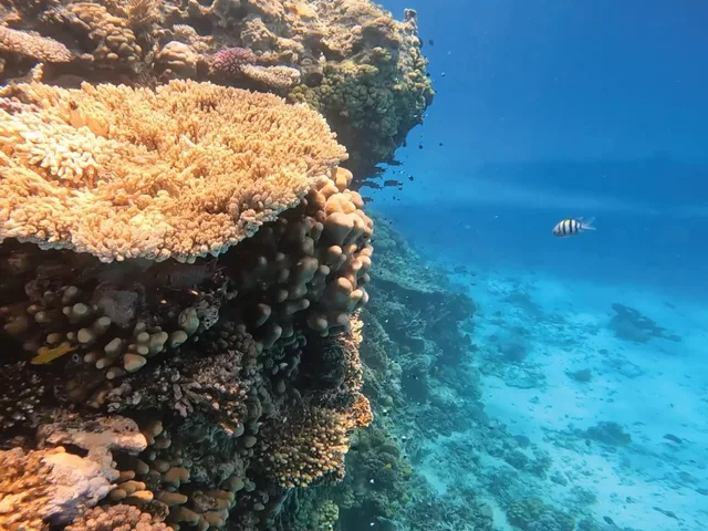 Premium Orange Bay Island Cruise from Hurghada — photo 11