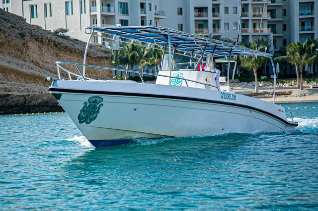 Dolphin Watching Boat Tour — reference photograph