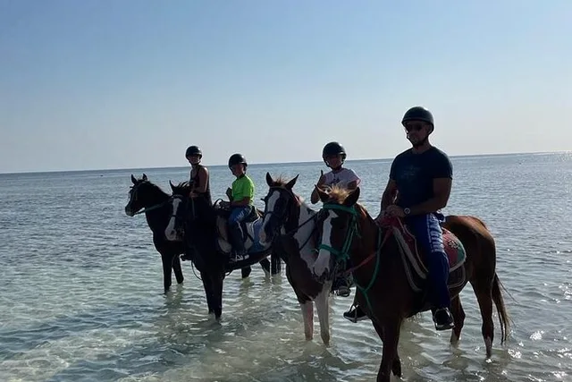 Marsa Alam Beach & Desert Horse Riding Tour — photo 11
