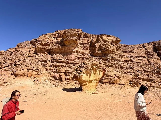White Canyon & Coloured Canyon Jeep Safari from Dahab — photo 15