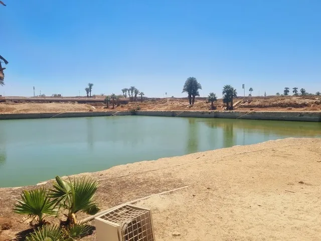 Luxor Day Tour from Aswan: Valley of the Kings and Temples — photo 14