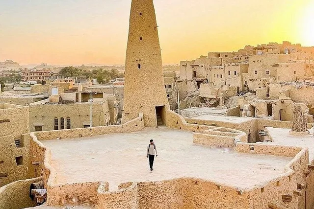 Private Siwa Oasis Full Day Tour — photo 68