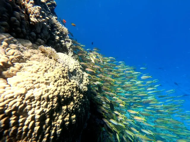 Sharm: Mangrove, Magic Lake, Earthquake Crack & Snorkelling by Bus — photo 17