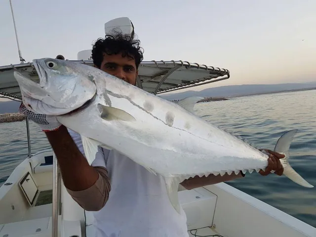 Salalah fishing tour photo 4
