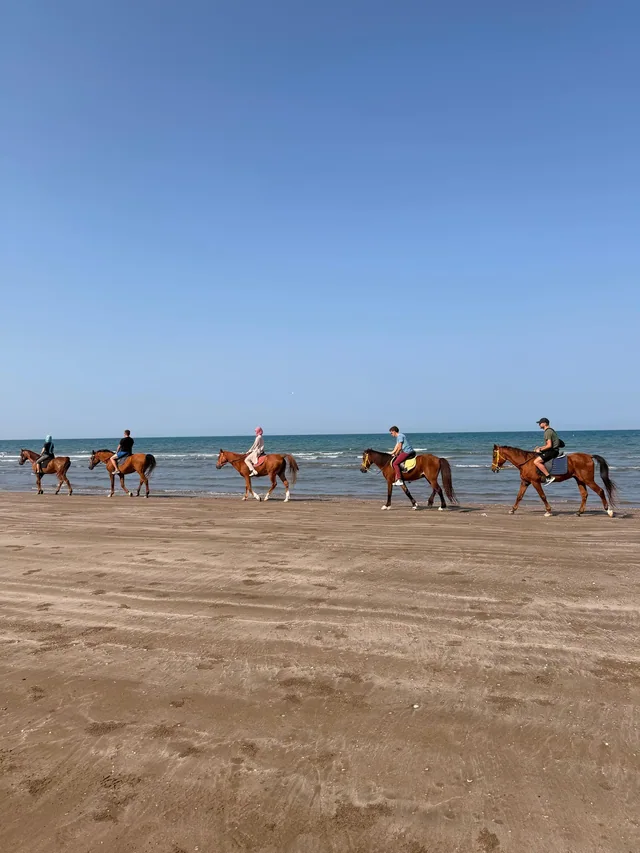 Horse Riding on the Beach — reference photograph