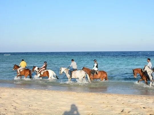 Marsa Alam Beach & Desert Horse Riding Tour — photo 5