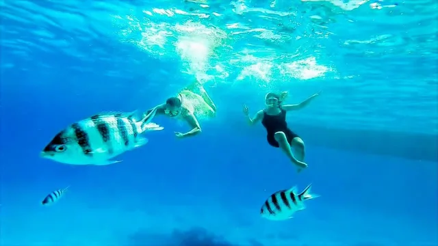 Sharm: Mangrove, Magic Lake, Earthquake Crack & Snorkelling by Bus — photo 14