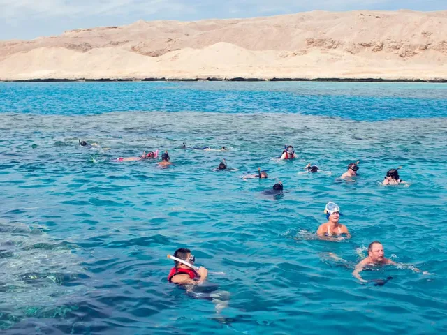 Shaab Samadai Dolphin House Snorkeling from Marsa Alam — photo 11