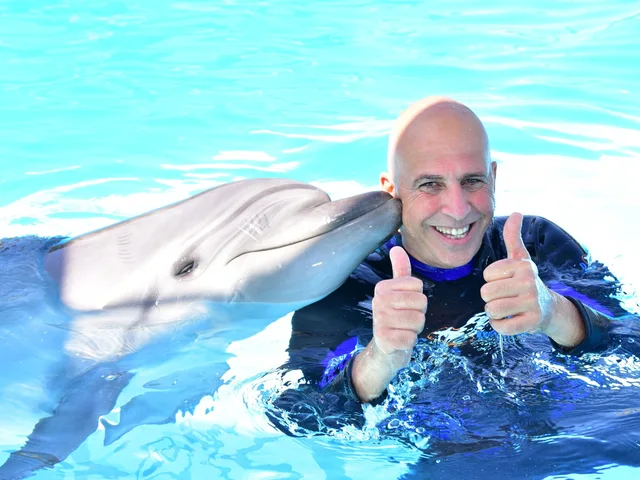 Dolphina Park Hurghada Show Tickets & Transfer Options — photo 11