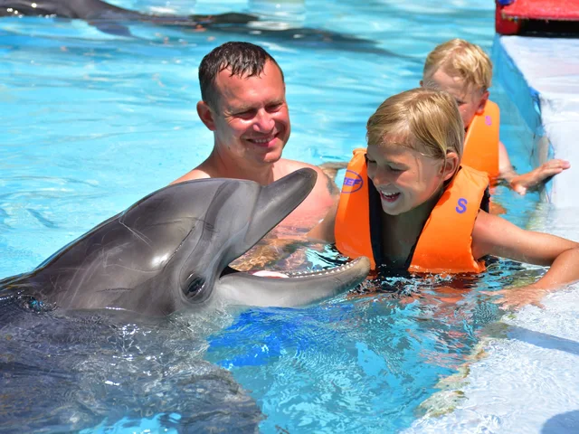 Dolphina Park Hurghada Show Tickets & Transfer Options — photo 8