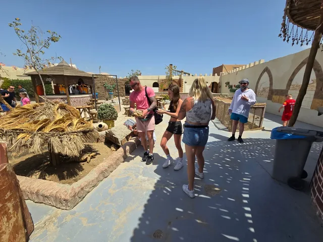 Hurghada Sahara Park Mega Safari with BBQ Dinner — photo 10