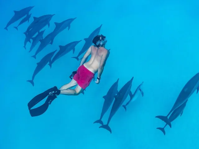 Shaab Samadai Dolphin House Snorkeling from Marsa Alam — photo 7