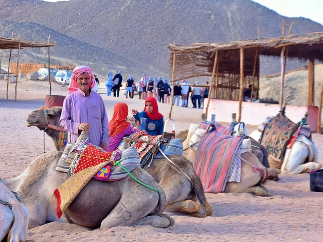 Hurghada Sahara Park Mega Safari with BBQ Dinner — photo 12