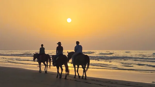 Horse Riding on the Beach — reference photograph