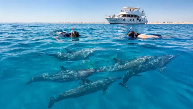 Hurghada Island-Hopping Yacht Tour & Dolphin Watching — photo 14