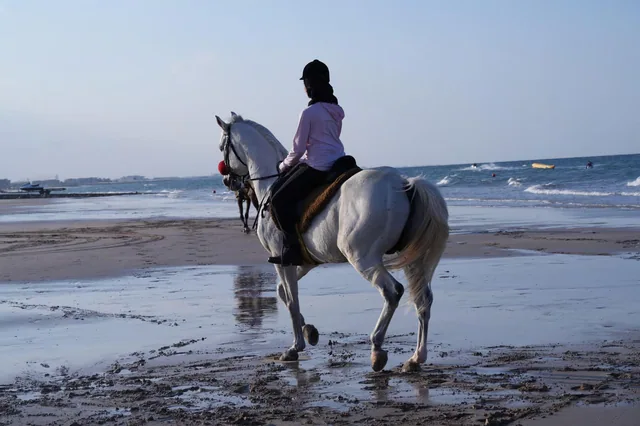 Horse Riding on the Beach — reference photograph