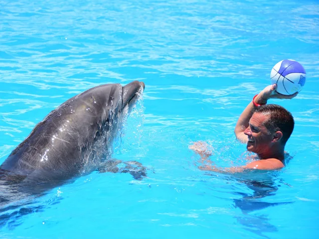 Dolphina Park Hurghada Show Tickets & Transfer Options — photo 10